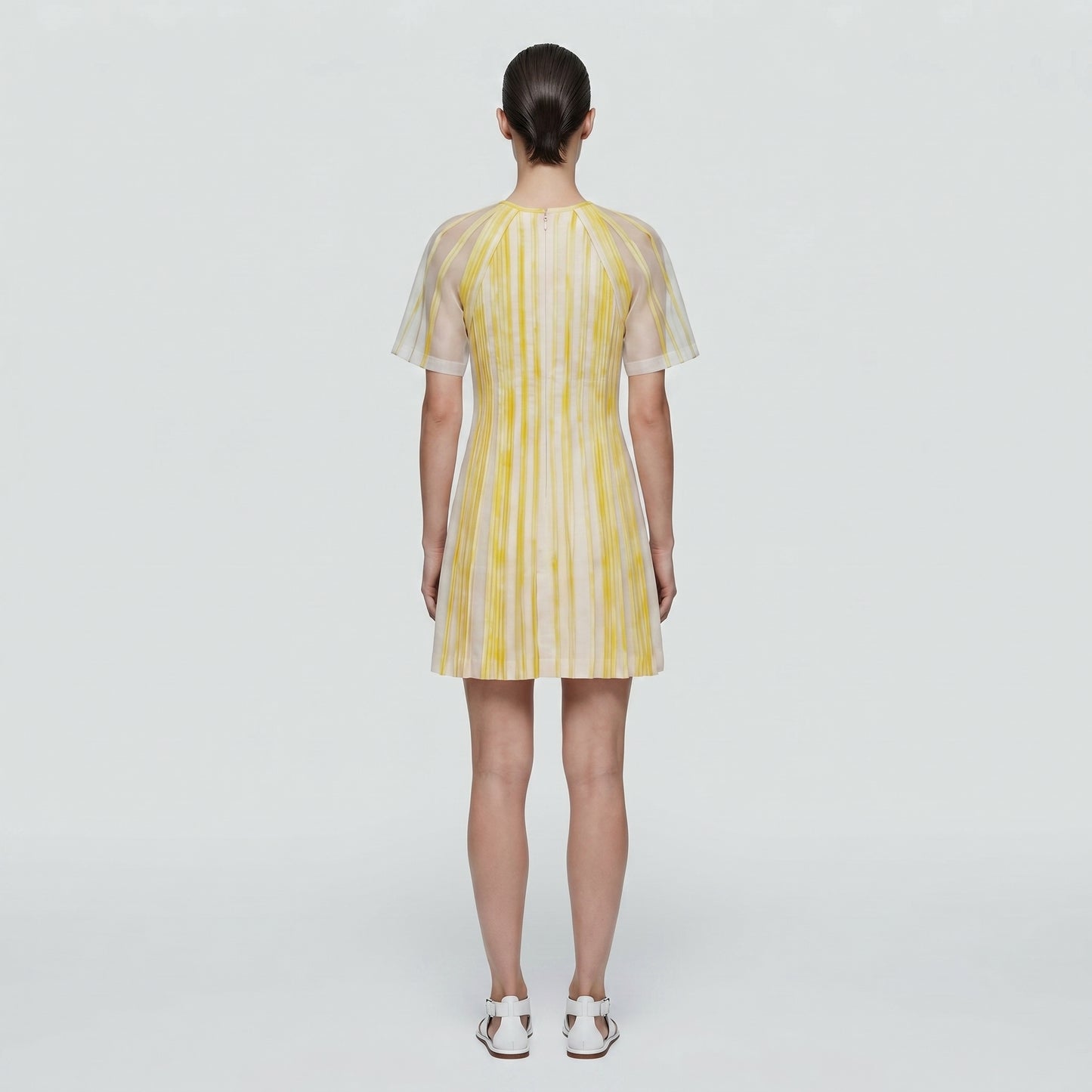 Pleated Sheer Sleeve Mini Dress