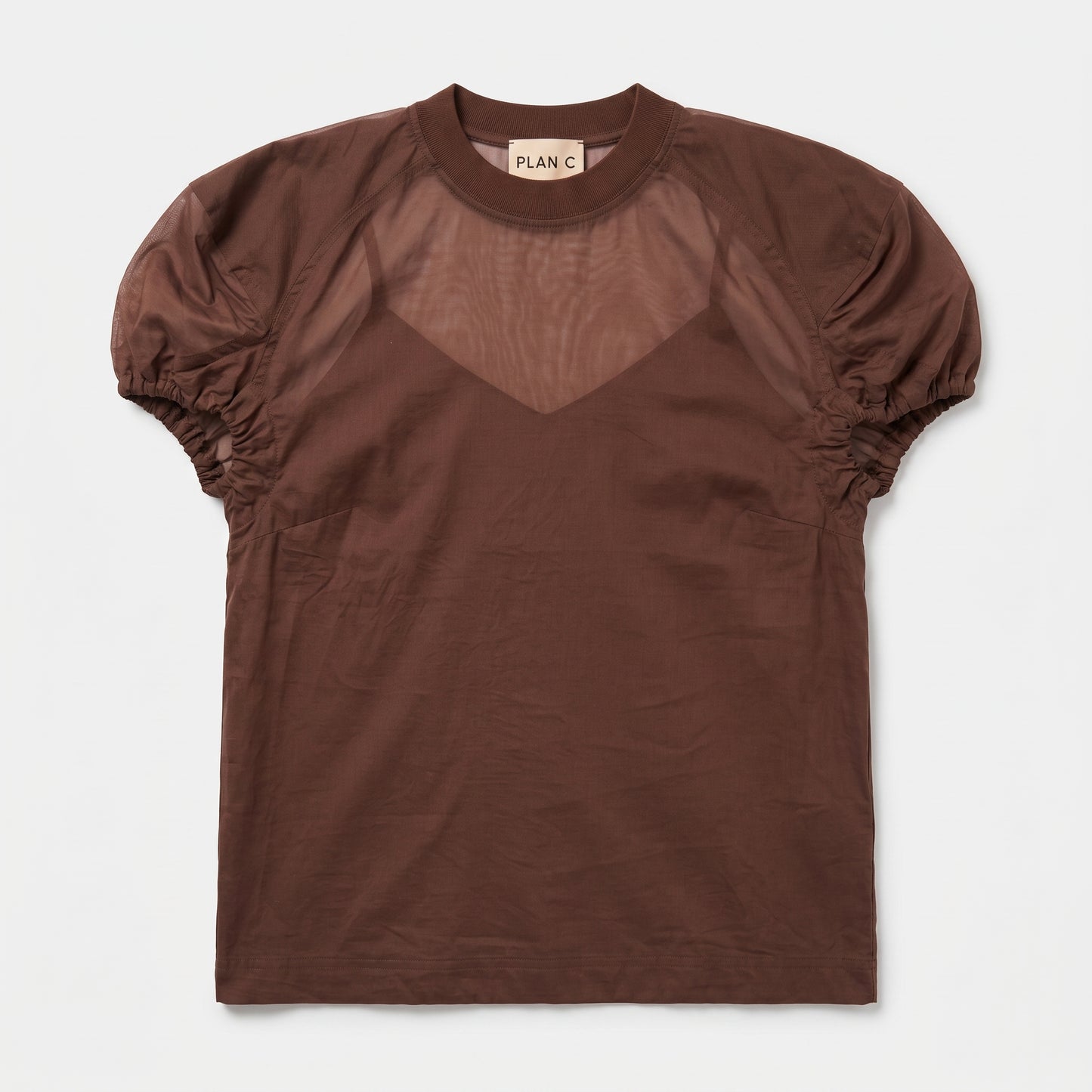 Sheer Panel Puff Sleeve Top