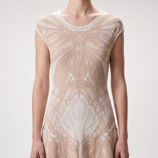 Butterfly Jacquard Knit Mini Dress