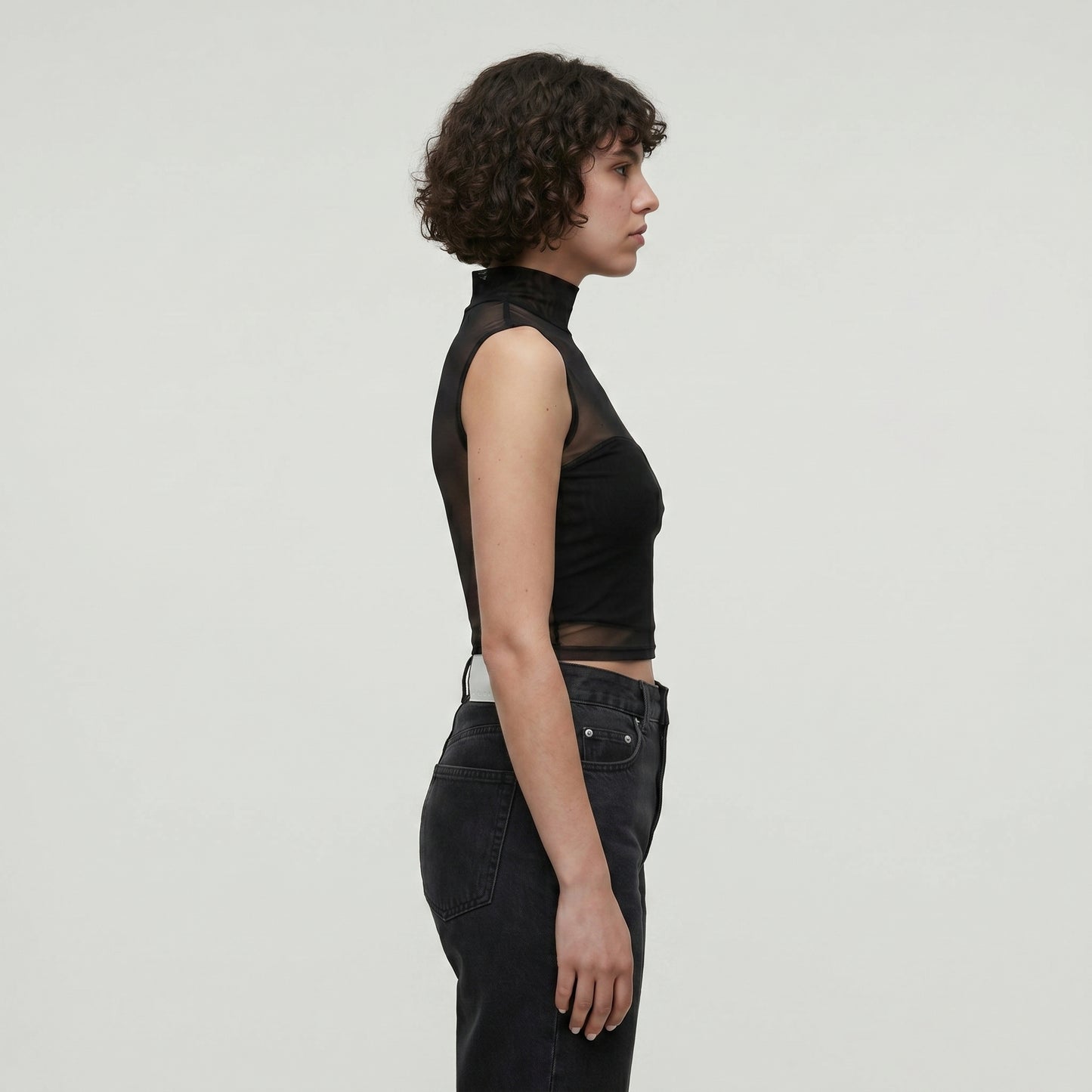 Sleeveless Sheer Mesh Mock-Neck Top