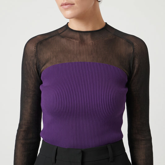 Colorblock Ribbed Knit Top