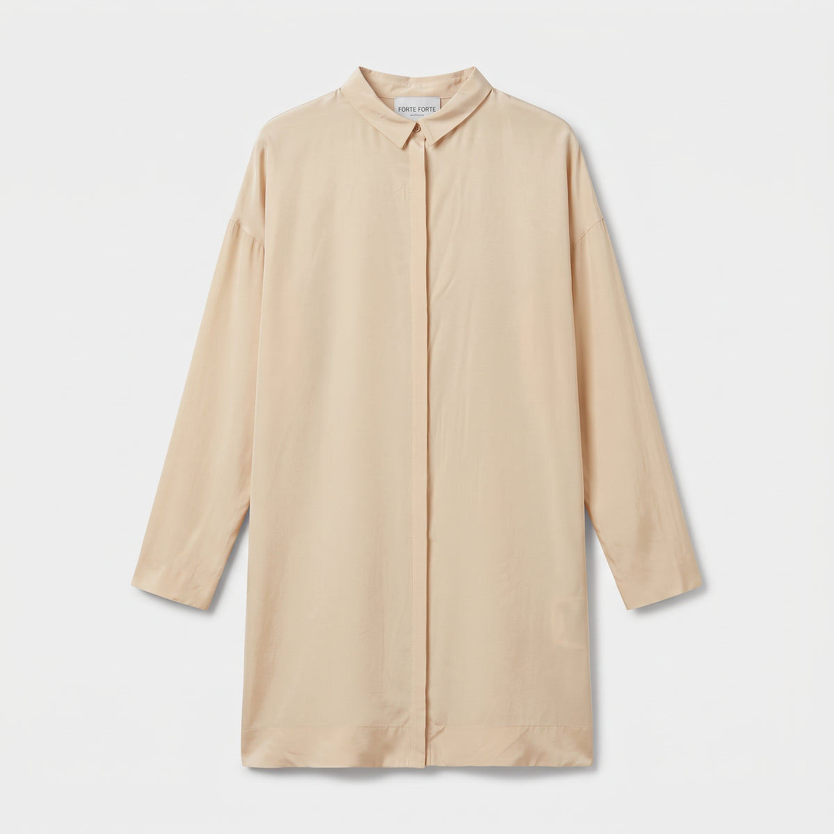 Minimalist Silk Shirt Dress