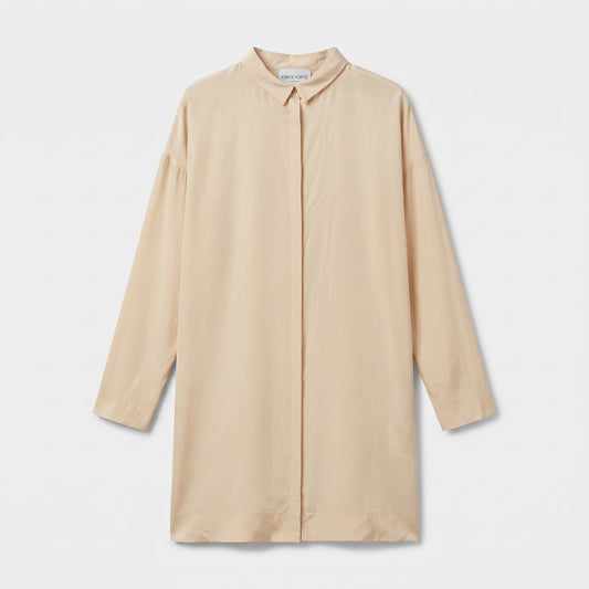 Minimalist Silk Shirt Dress