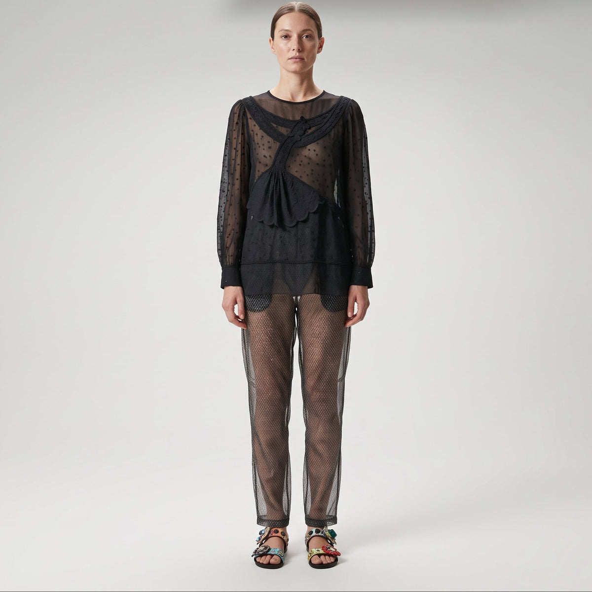 Embroidered Sheer Long Sleeve Blouse
