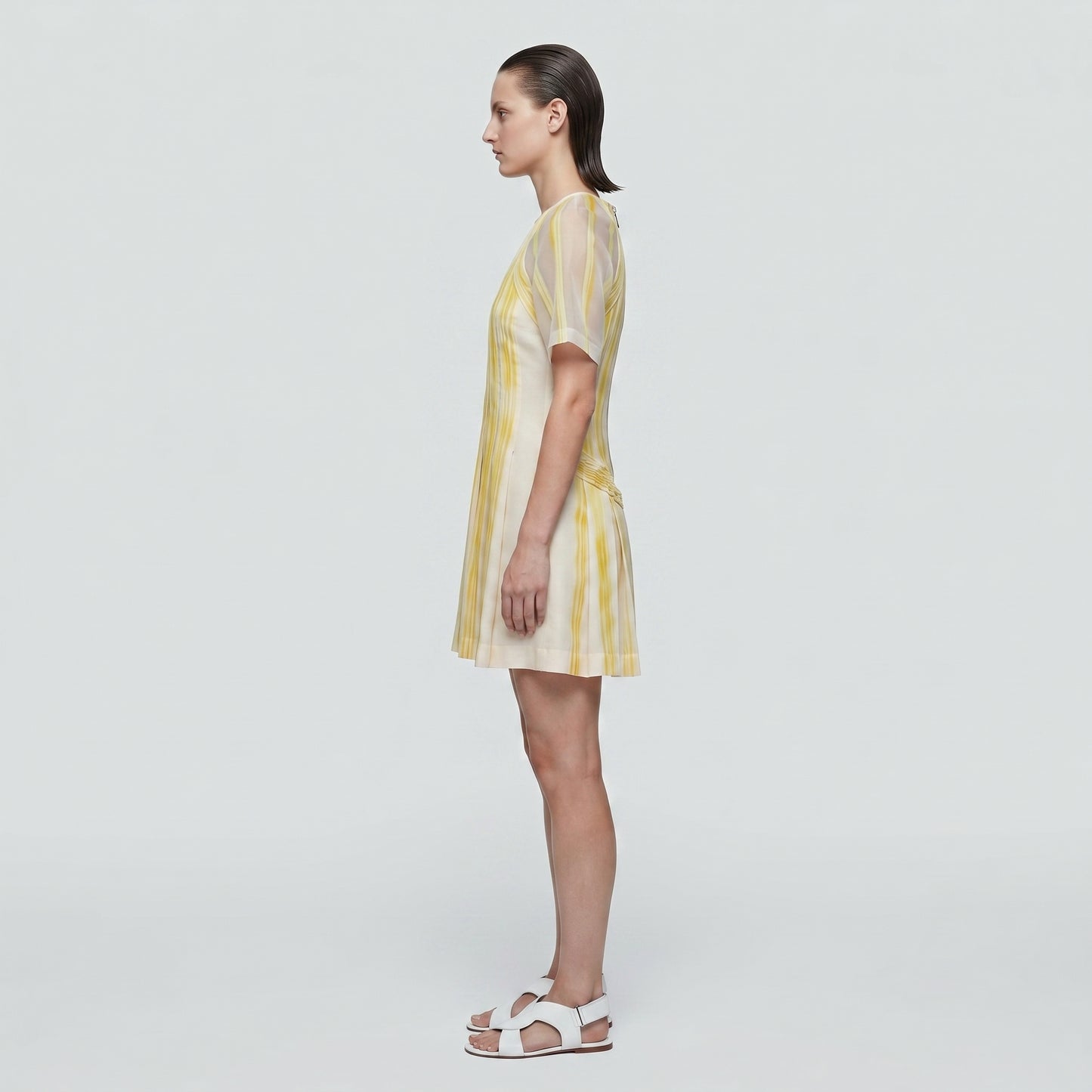 Pleated Sheer Sleeve Mini Dress