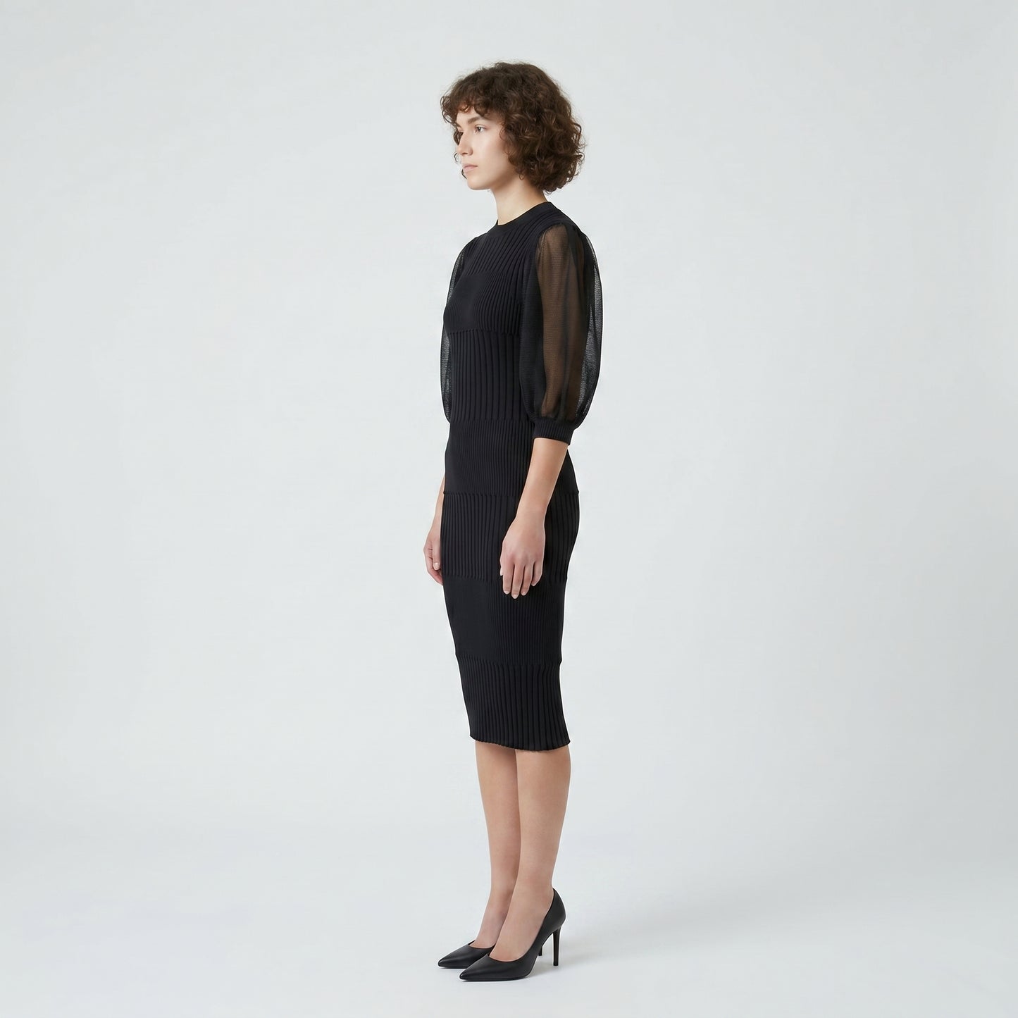 Ribbed Knit Sheer Sleeve Dress