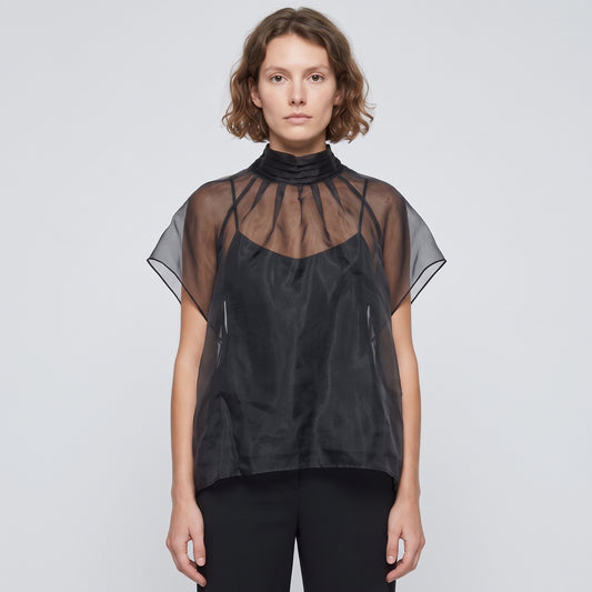 Sheer Mock Neck Blouse