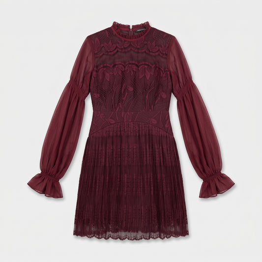 Burgundy Embroidered Lace Mini Dress