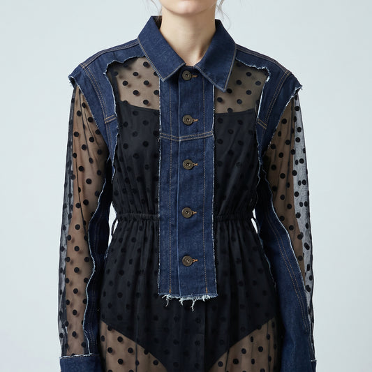Sheer Polka Dot Denim Dress
