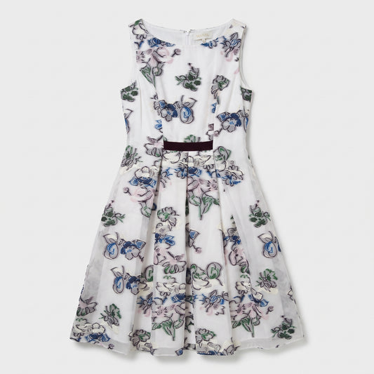 Floral Embroidered A-Line Dress
