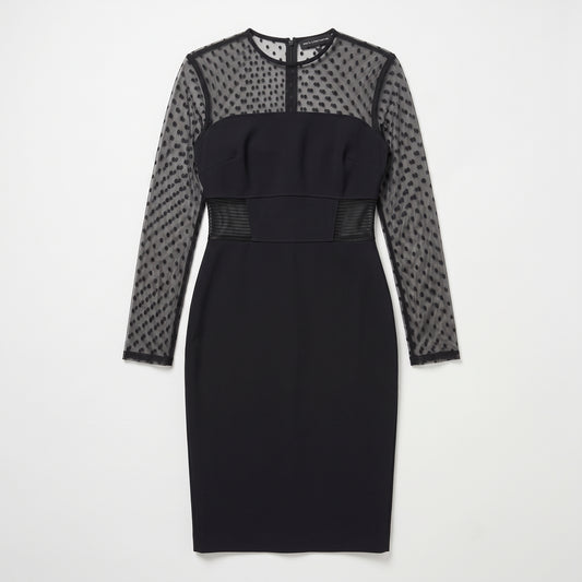 Polka Dot Sheer Sleeve Dress