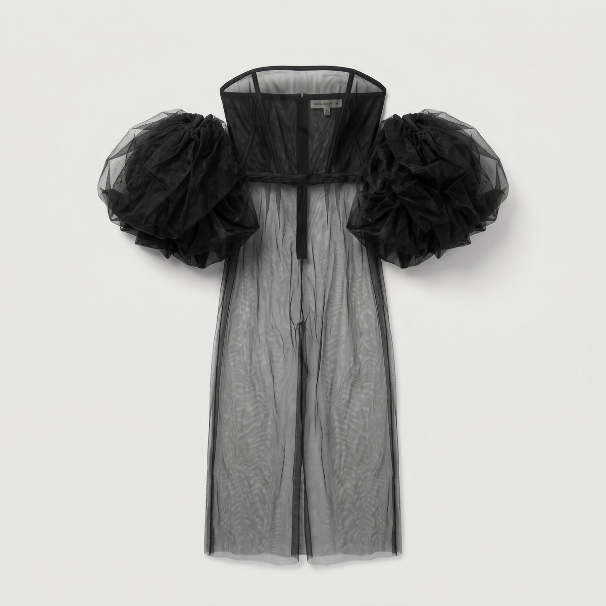 Sheer Tulle Corset Dress