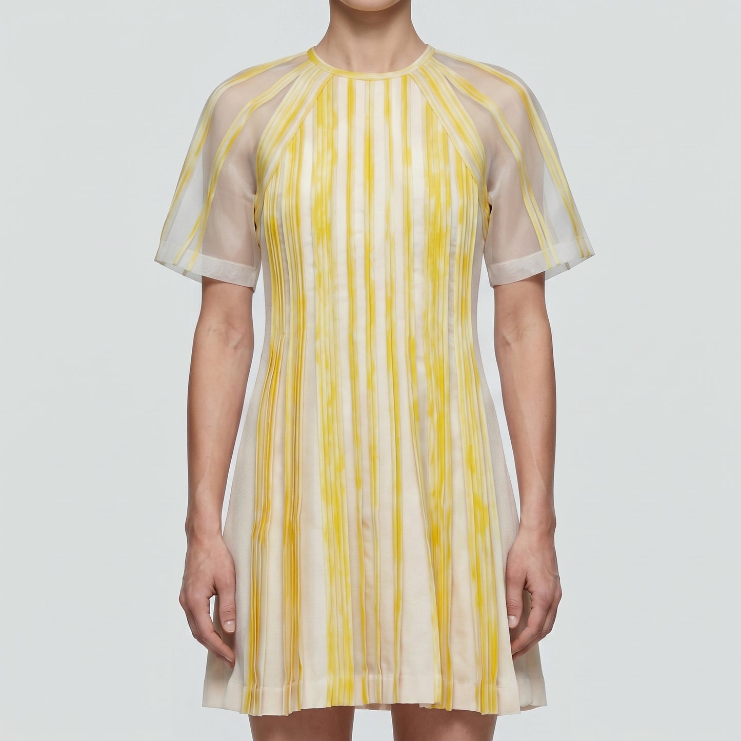Pleated Sheer Sleeve Mini Dress