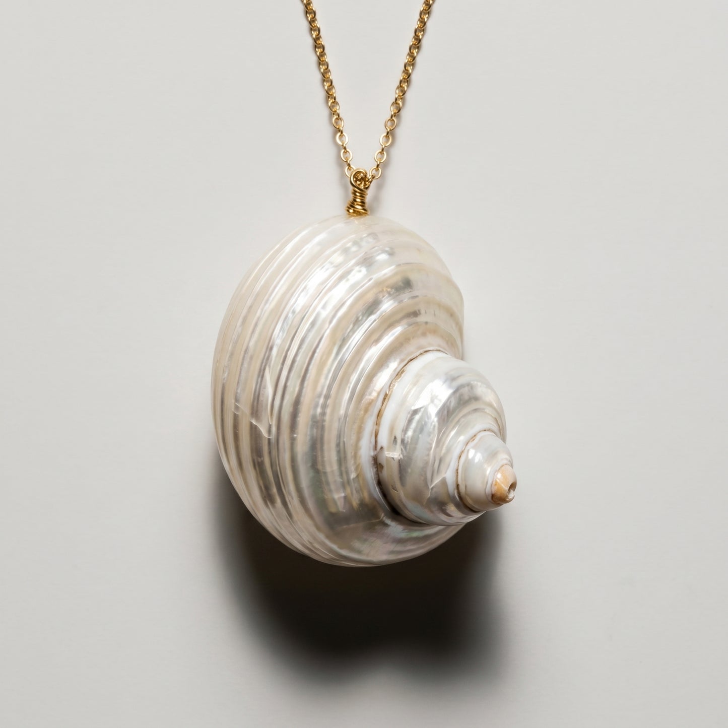 Seashell Pendant Gold Necklace