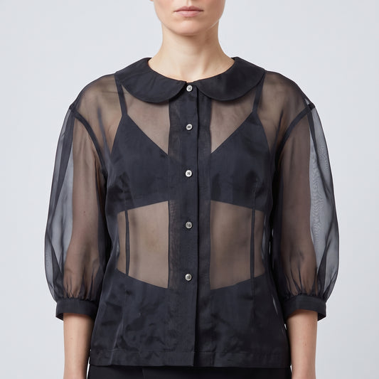 Sheer Peter Pan Collar Blouse