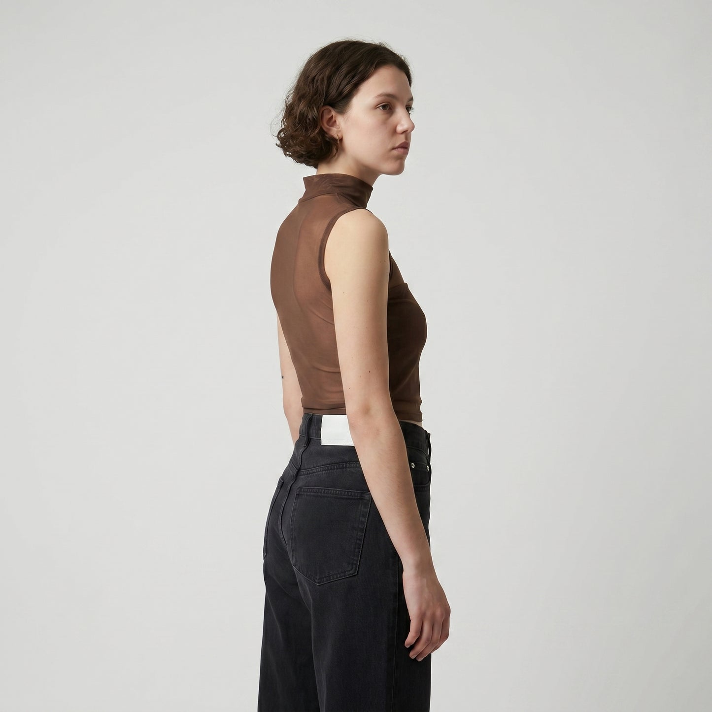 Sleeveless Sheer Mock Neck Top
