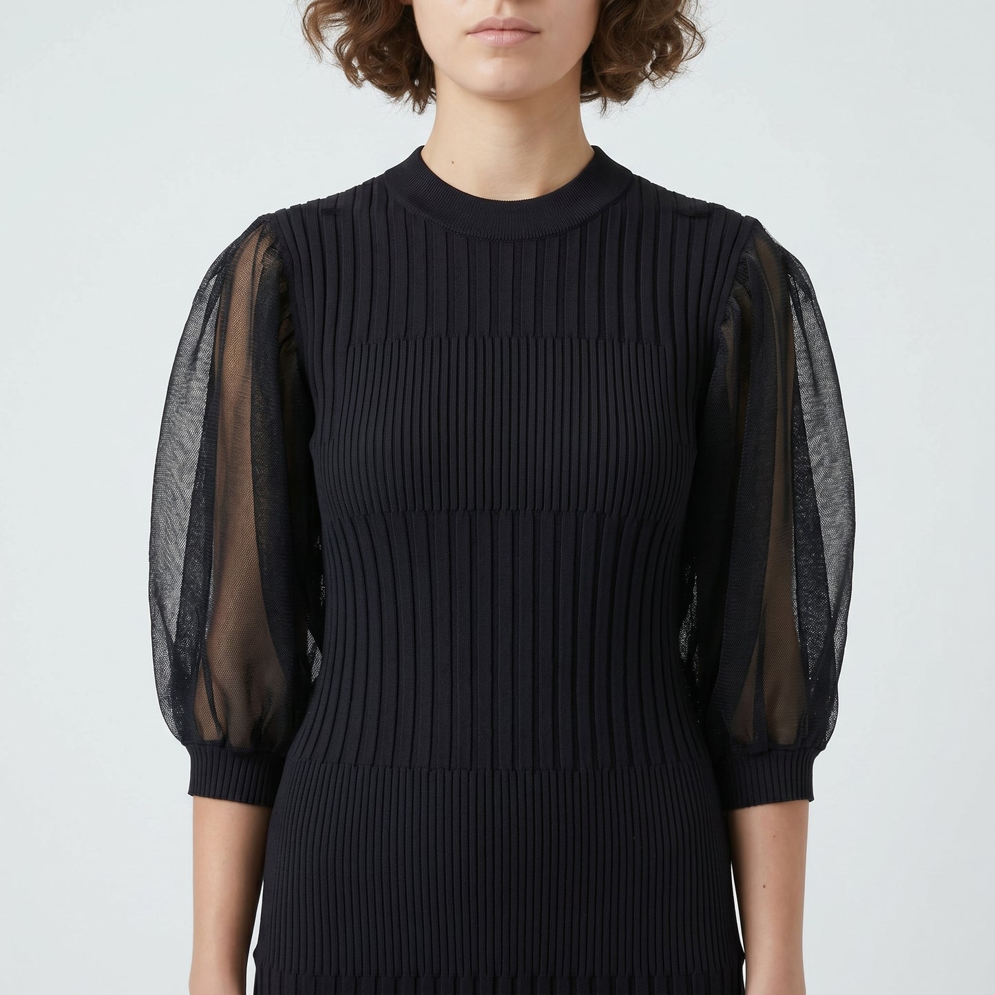 Ribbed Knit Sheer Sleeve Dress