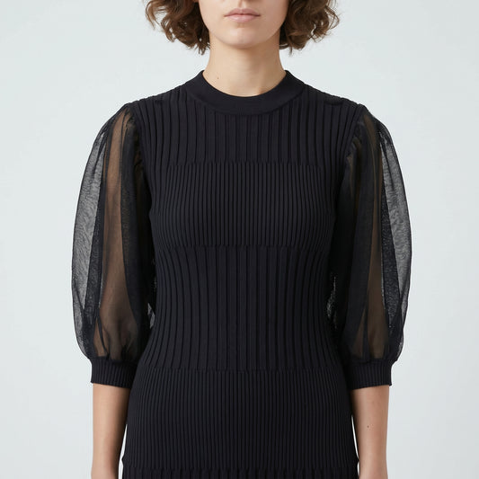 Ribbed Knit Sheer Sleeve Dress