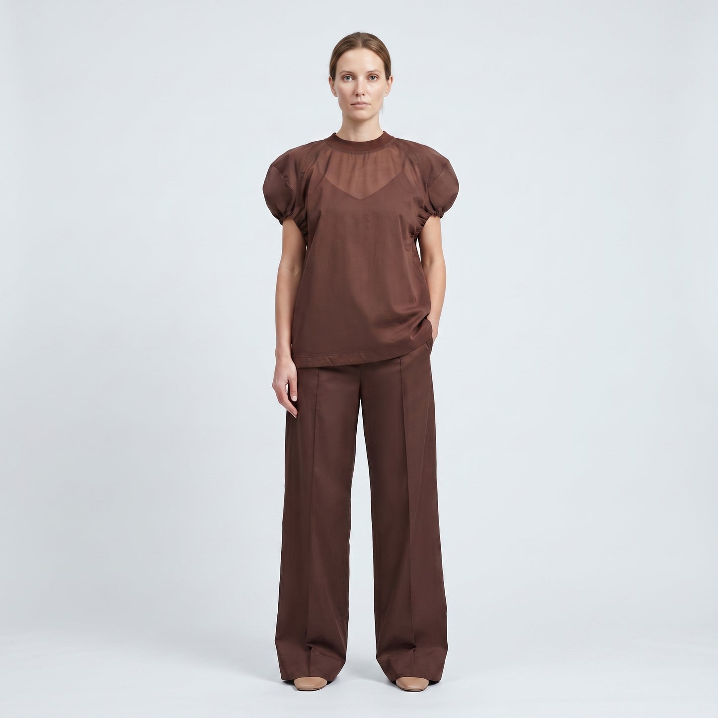 Sheer Panel Puff Sleeve Top