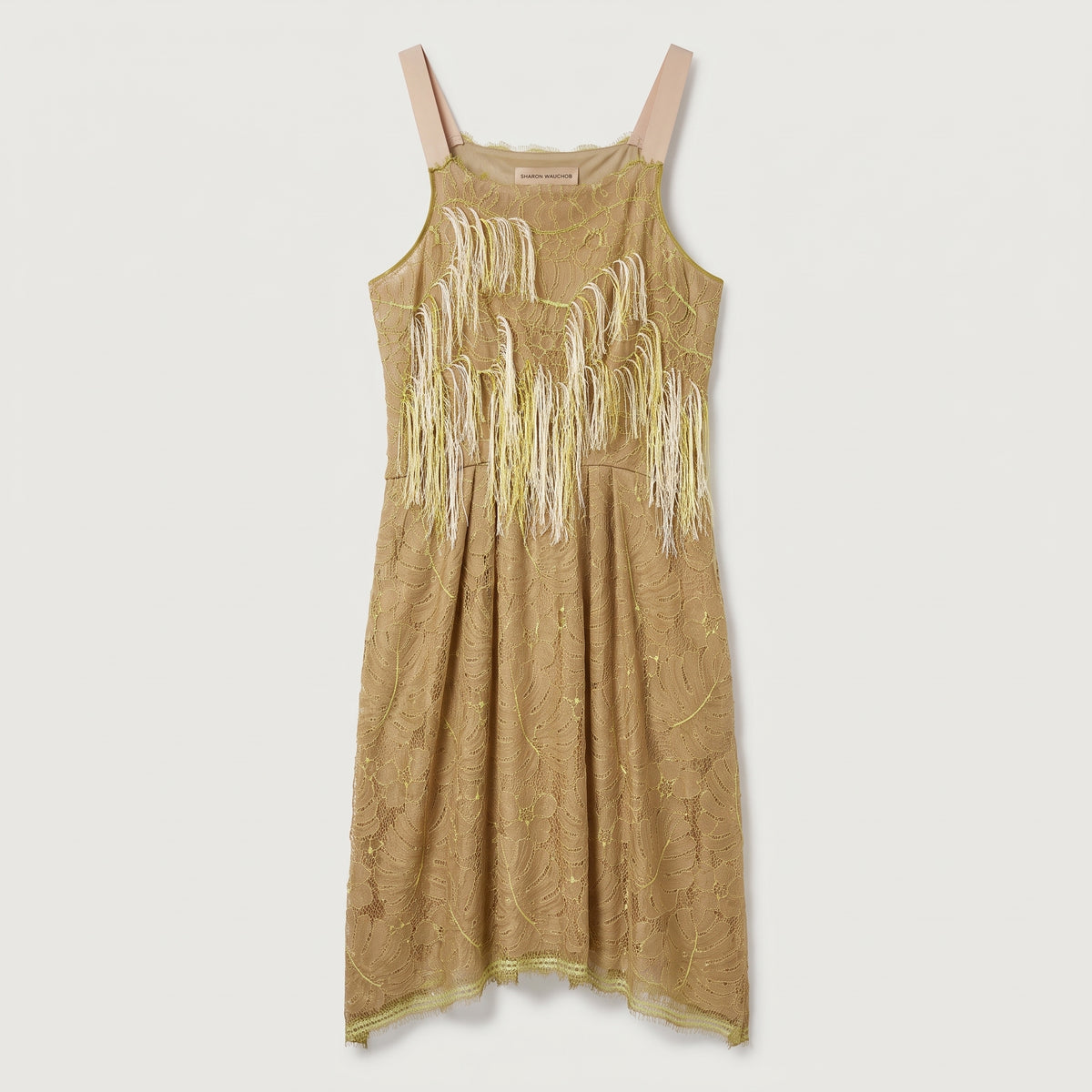 Embellished Fringed Lace Midi Dress