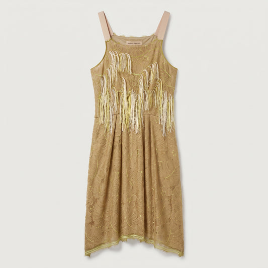 Embellished Fringed Lace Midi Dress