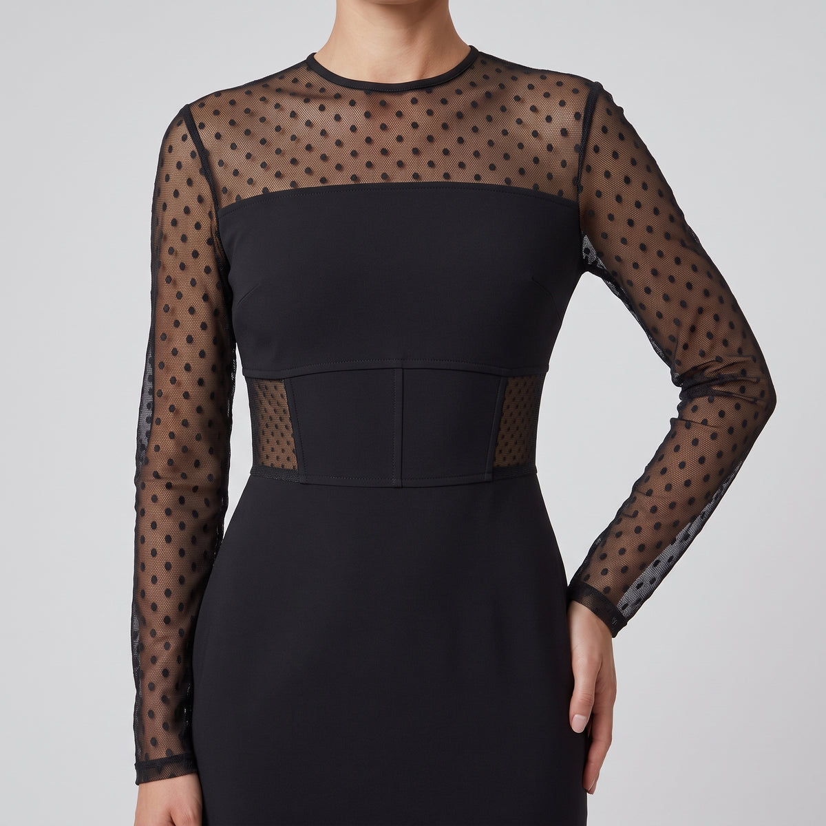 Polka Dot Sheer Sleeve Dress