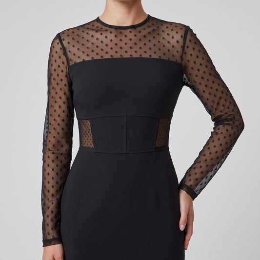 Polka Dot Sheer Sleeve Dress