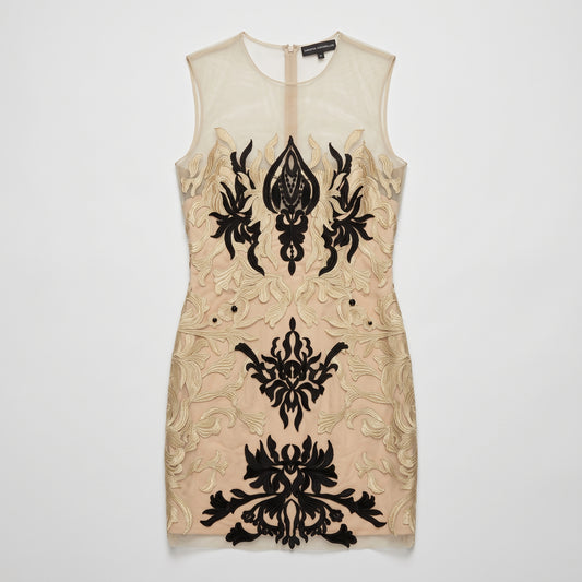Embroidered Illusion Sheer Mini Dress