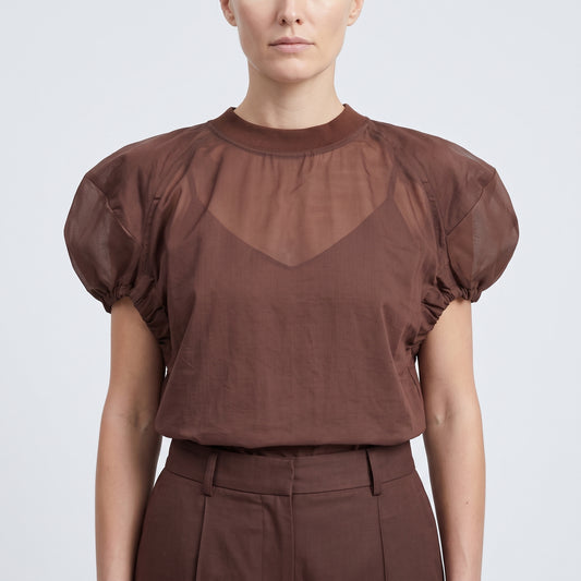 Sheer Panel Puff Sleeve Top