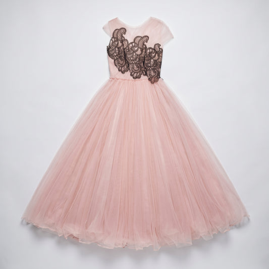Embroidered Tulle Evening Gown