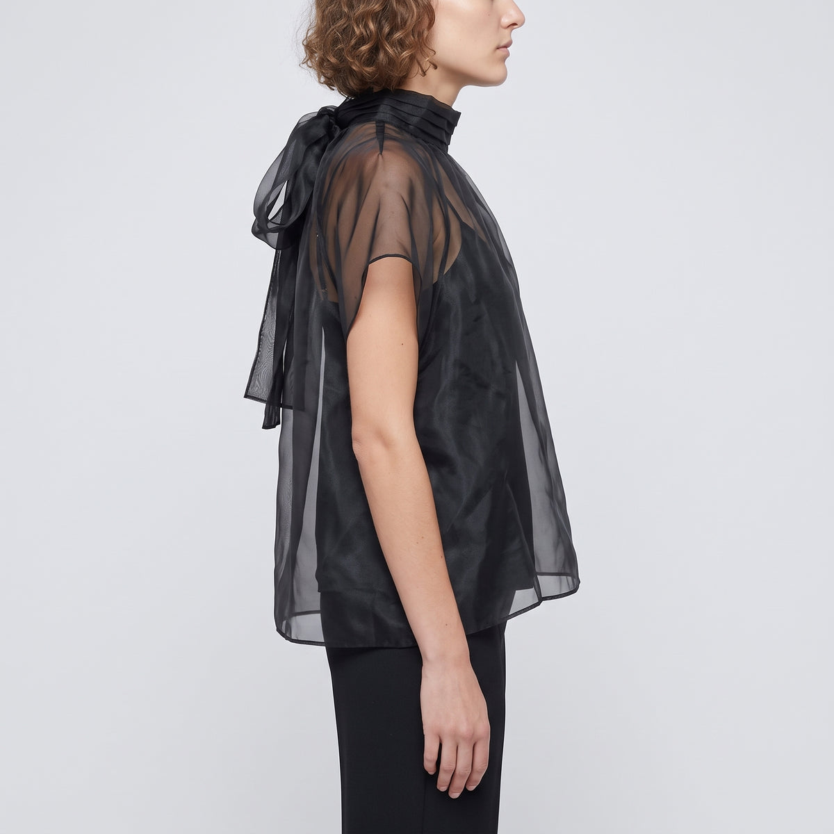 Sheer Mock Neck Blouse