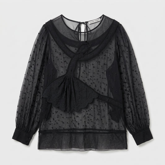Embroidered Sheer Long Sleeve Blouse