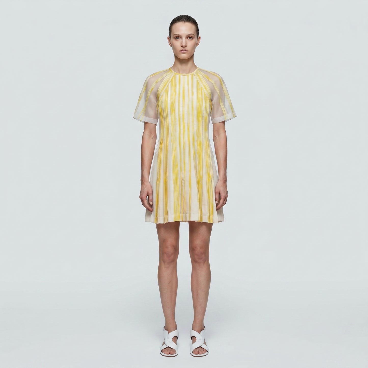 Pleated Sheer Sleeve Mini Dress