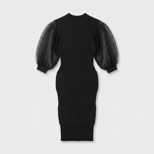 Ribbed Knit Sheer Sleeve Dress